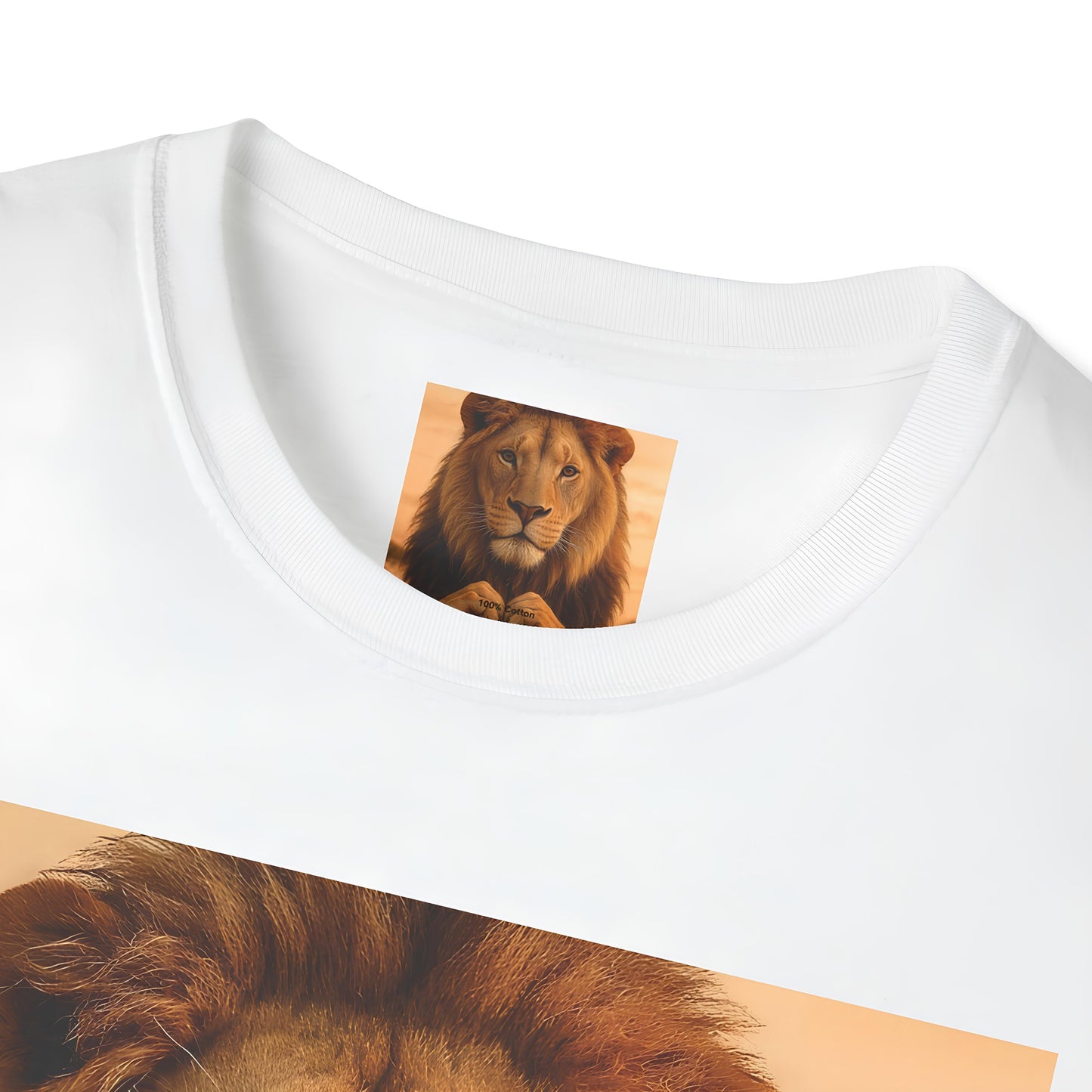 Heart of a Lion – Love Is Power